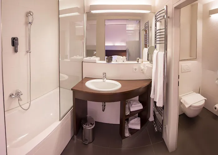 Schwarzer Baer 호텔